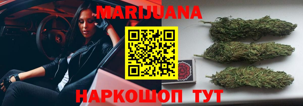 Конопля сатива Белая Калитва